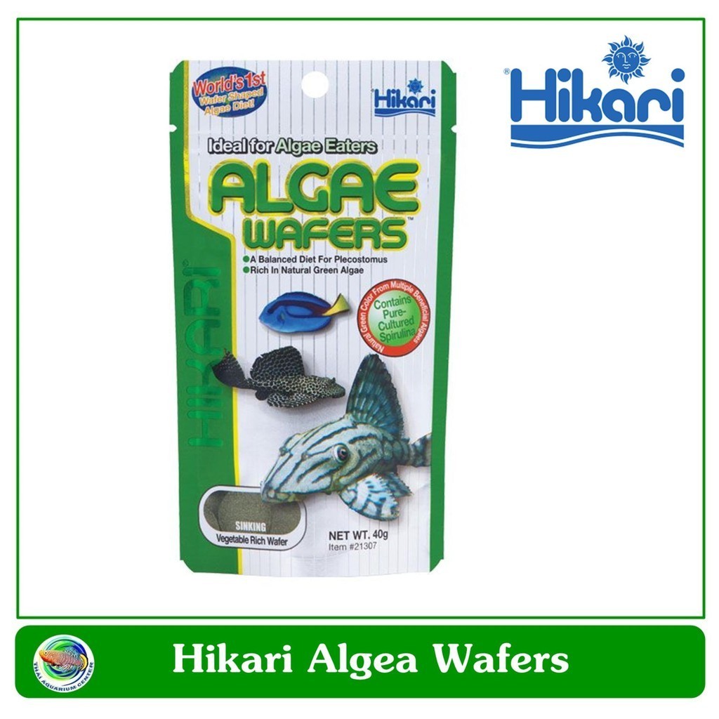 Hikari Algae Wafer อาหารปลา สำหรับปลากินพืช กินตะไคร่น้ำ ปลาแพะ ปลาหมู ชนิดแผ่นจมน้ำ