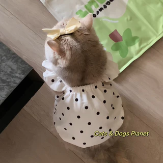 สัตว์เลี้ยงลูกสุนัขเสื้อผ้าสุนัขแต่งตัวแมวลูกสุนัขเจ้าหญิงบินแขนกระโปรงฤดูร้อนบางสไตล์