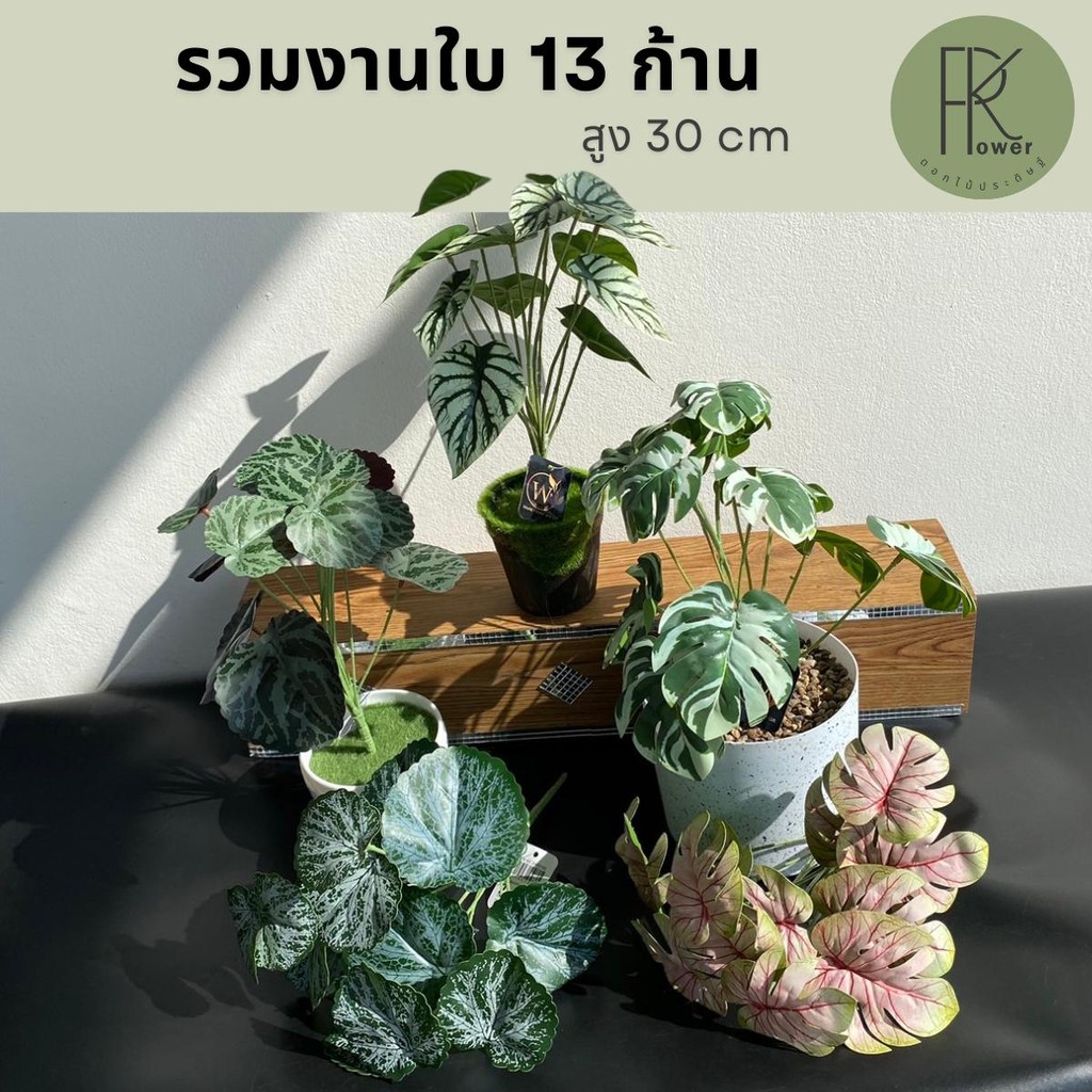 รวมงานใบ 13 ก้าน งานเสมือนจริง ต้นไม้ปลอม ต้นไม้ประดิษฐ์