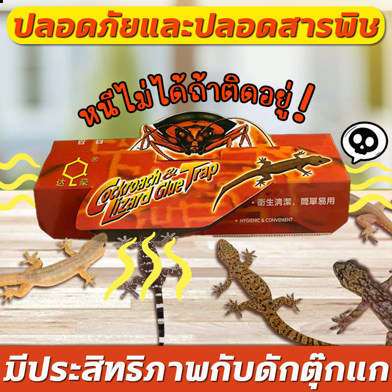 MonQiQi ติดตุ๊กแกได้ง่าย กําจัดจิ้งจก การทำลายแมลงสาบ การจับตุ๊กแกทางกายภาพ ปลอดภัยยิ่งขึ้น ไม่มีสารเคมี ไร้ก