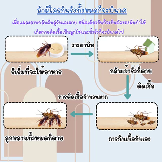 GaGiNang เจลกำจัดแมลงสาบ เหยื่อกำจัดแมลงสาบ ชนิดเจล ใช้ได้ในระยะยาวถึง 6 เดือน กล่อง มี 8 ชิ้น