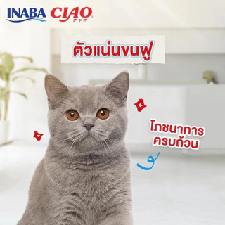 ((ยกกล่อง/ยกเซ็ท-6แพ็ค)) CIAO Sugoi Crunchy อาหารเม็ดแมว เกรดพรีเมี่ยม สูตรเสริมพรีไบโอติก (Prebiotics)