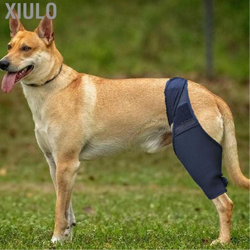 Xiulo สุนัข ที่ได้รับบาดเจ็บที่หุ้มขาแขนที่แข็งแรงอุปกรณ์พยุงเข่ามัลติฟังก์ชั่น ป้องกันการลื่น การสนับสนุนที่มั่นคงและมั่นคงสำหรับการกู้คืน – โปรปัง