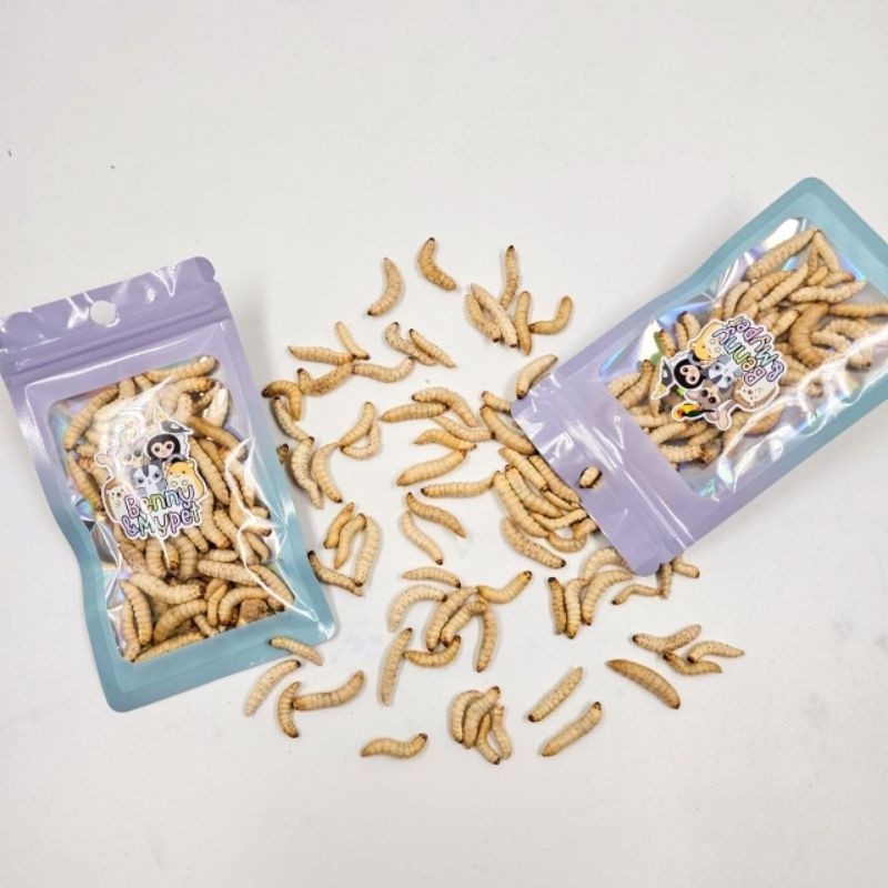 หนอนแว๊กซ์ฟรีซดราย 10 กรัม [ แห้ง ] สำหรับชูการ์ เม่นแคระ ลิง กระรอก แฮมสเตอร์ บุชเบบี้