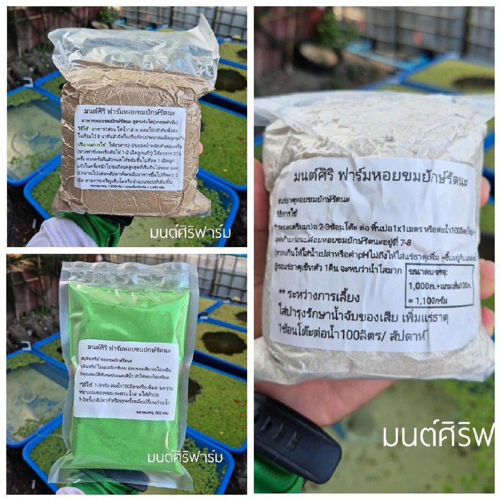 ชุดสำคัญประจำฟาร์มหอยขมยักษ์รัตนะ สุดคุ้มครบจบ