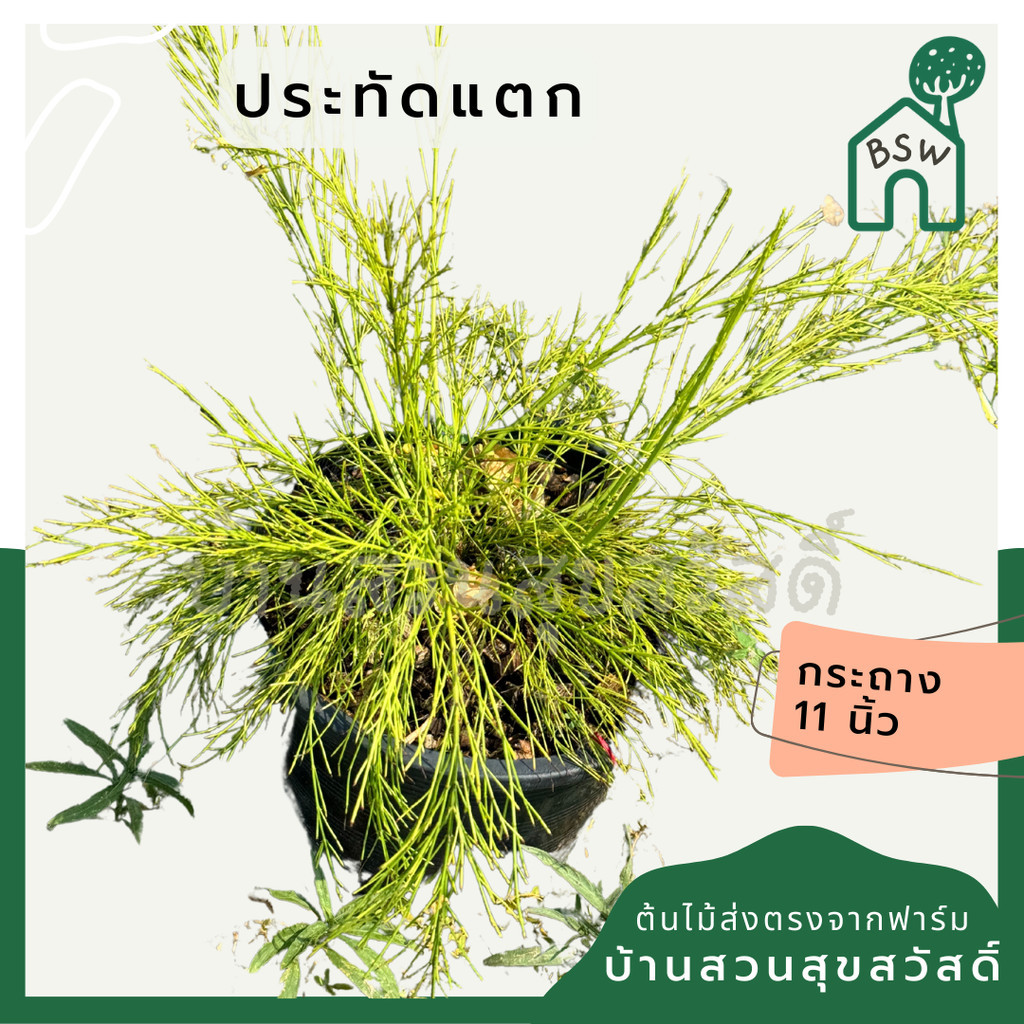 มุมมอง 2