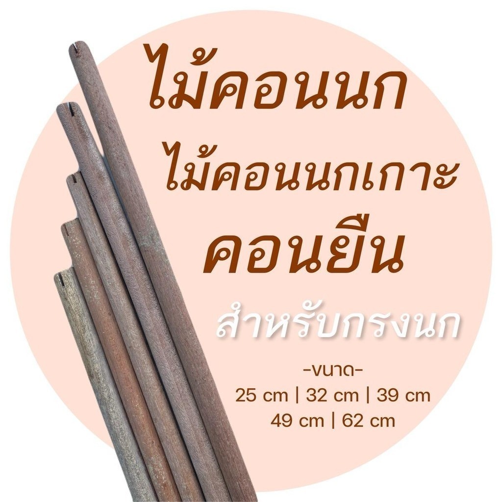 ไม้คอนนก ไม้คอน ไม้คอนเกาะ คอนเกาะนก ผ่าร่องแล้ว สำหรับใส่กรงนก คอนไม้ คอนนก พร้อมส่ง !! รหัส P029