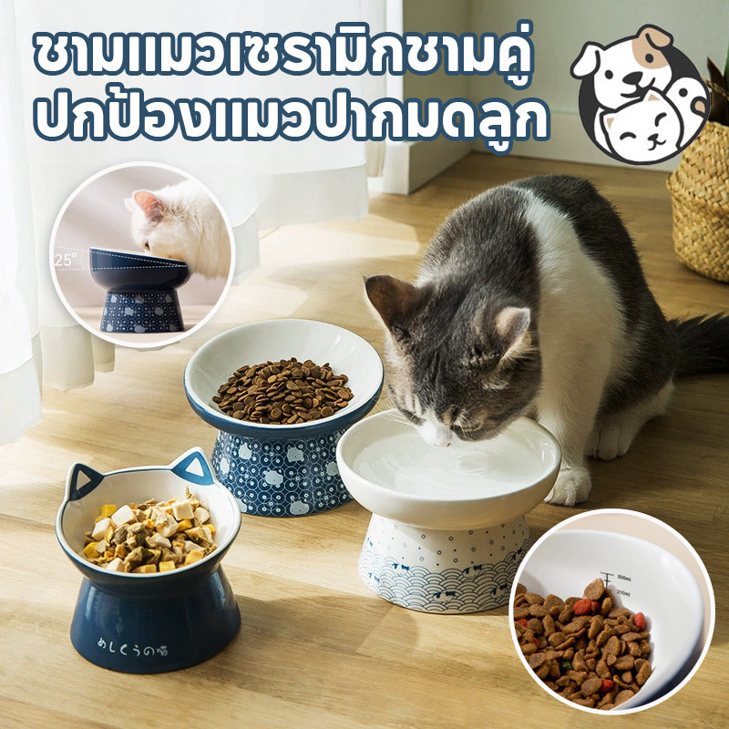 COD ชามอาหารแมวเซรามิกชามอาหารแมวสไตล์ญี่ปุ่น Pet Tilt Dog, แมว ชามสัตว์เลี้ยงเซรามิกเอียง 25 องศา