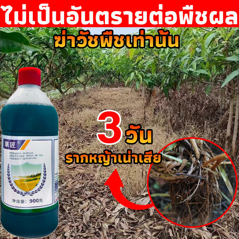 💥80 ปี ปลอดวัชพืช💥เข้มข้นสุดๆ ยาฆ่า หญ้า 900มลไม่เป็นอันตรายต่อพืชผล ยากำจัดวัชพืช ตรงไปที่ราก ฆ่าแรง ไม่ทำร้ายดิน ยาฆ่าย่า ย่าฆ่าหญ้า ยาฉีดหญ้า กำจัดวัชพืชได้ทุกประเภท อัตราการกำจัดวัชพืช 99.99% รากเน่าเร็ว