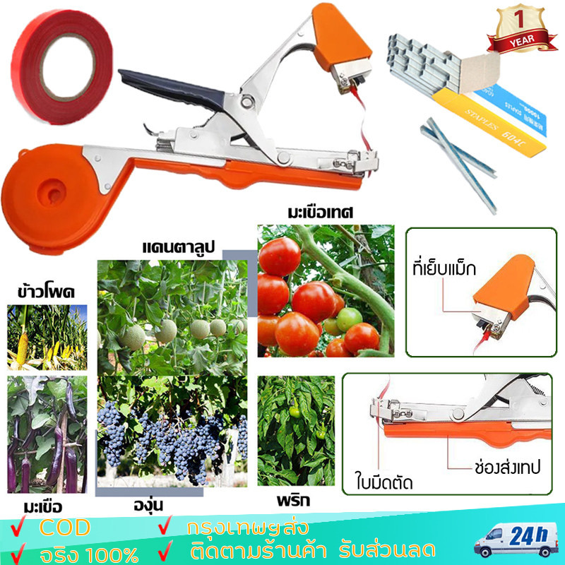 เครื่องรัดต้นไม้ เครื่องรัดกิ่ง ต้นไม้ เทปรัดกิ่ง เหล็กกล้าไร้สน กรรไกรรัดกิ่งไม้ เทปรัดกิ่ง คีมรัดกิ่ง Tape Tool