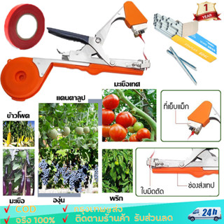 เครื่องรัดต้นไม้ เครื่องรัดกิ่ง ต้นไม้ เทปรัดกิ่ง เหล็กกล้าไ…