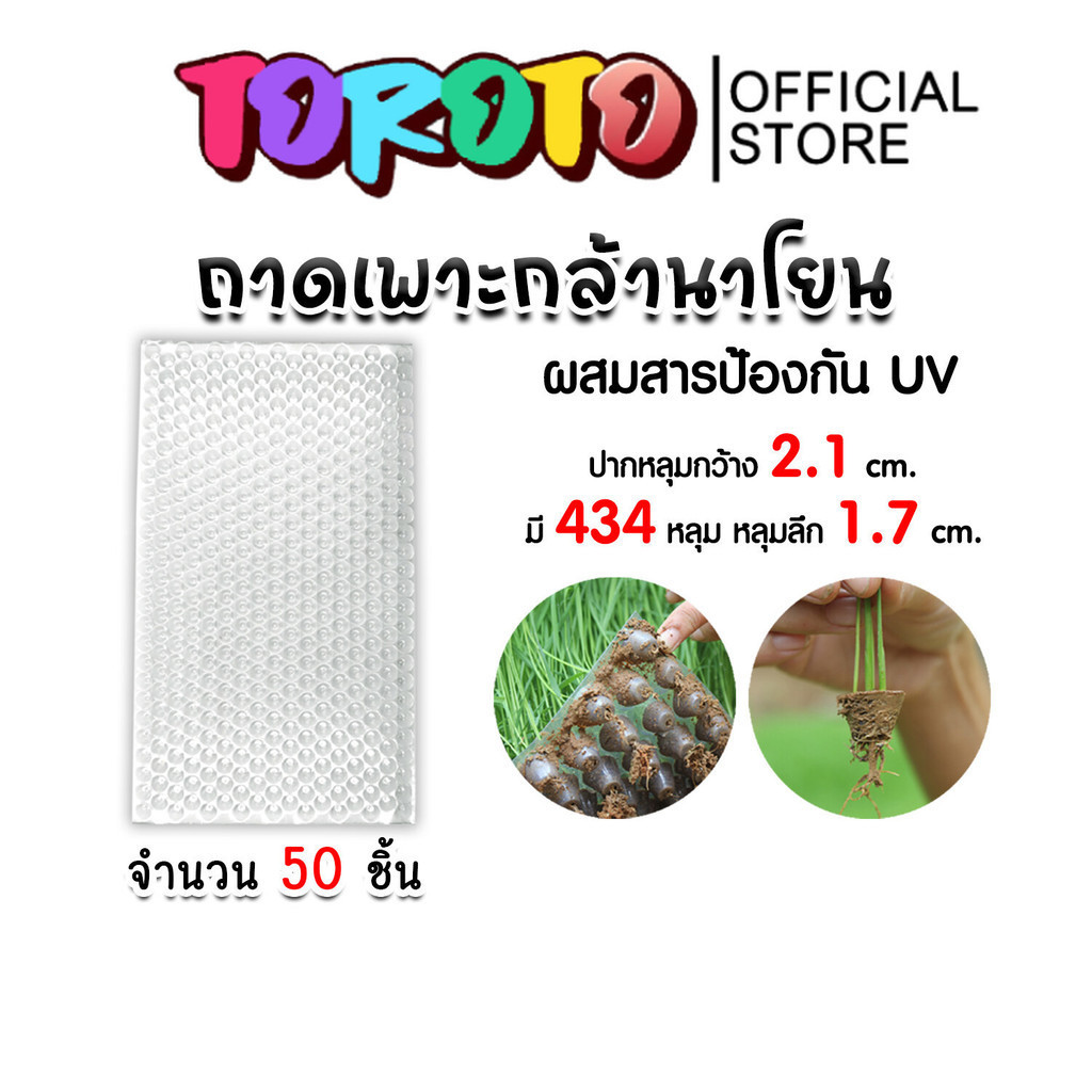 ถาดเพาะกล้านาโยน 434 หลุม แพ็ค 50 ชิ้น ถาดนาโยน ถาดเพาะปลูก ถาดเพาะกล้า ถาดเพาะนาโยน เพาะกล้านาโยน ก