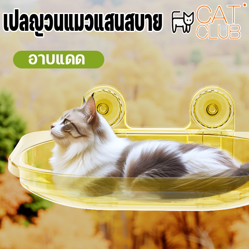 COD เตียงแขวนสัตว์เลี้ยง สีใส เปลแมวติดกระจก เปลแมวแบบแขวน รับน้ำหนักได้ถึง 40 Kg