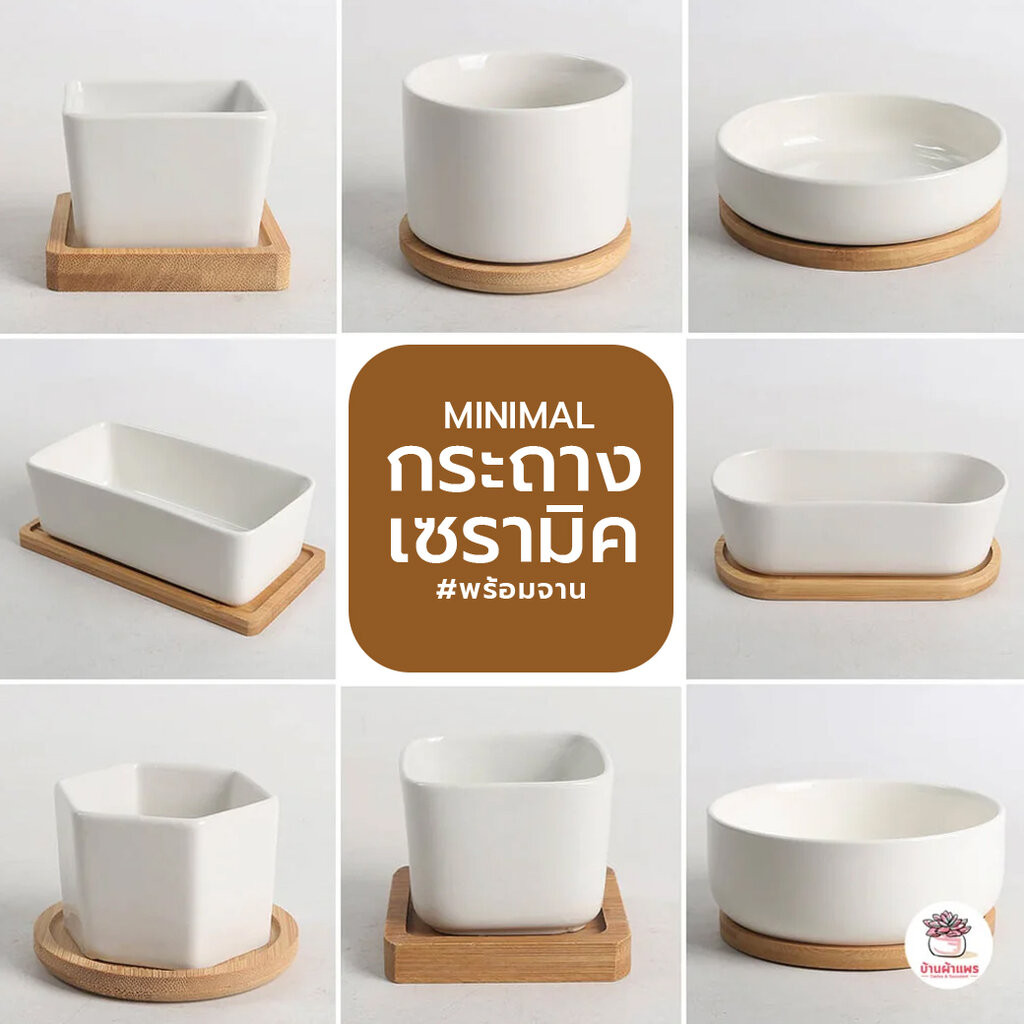 กระถางเซรามิค #สีขาว กระถางแคคตัส กระถางกระบองเพชร ไม้อวบน้ำ cactus&succulent