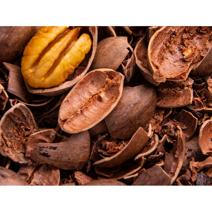 พีแคนดิบ (raw pecan) by ล้อมวง พีแคน ถั่วพีแคน ถั่ว ธัญพืช ราคาถูก ปลีก ส่ง