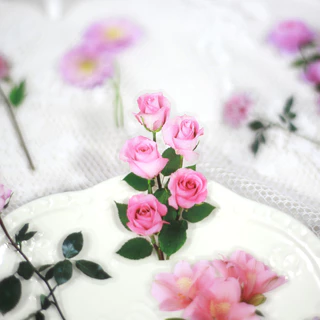 Journamm 40 ชิ้น/แพ็ค PET ดอกไม้สติกเกอร์พืช Daisy Decor เครื่องเขียนสําหรับ Junk Journal DIY Scrapbooking ป้ายสติกเกอร์
