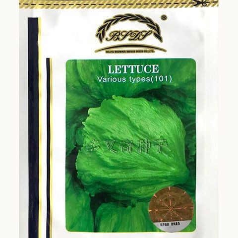 U.S. Imported Lettuce Seeds Resistant to Burning Edges Spring and Autumn Vegetable Seeds