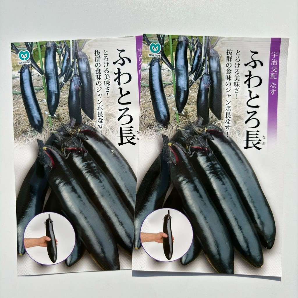 Black Delicious Eggplant Seeds Japanese Imported Black Purple Long Eggplant Seeds Spring and Autumn 