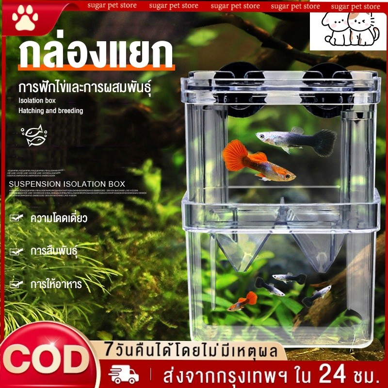 ตู้ปลาจุดอะคริลิกล่องแยกสองชั้นกล่องฟักปลาหางนกยูงปลาสวยงามกล่องเพาะพันธุ์ปลาต่อสู้กล่องประเทศไทยคลังสินค้าจัดส่ง24ชั่วโ
