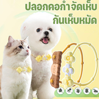 ปลอกคอกันเห็บ ปลอกคอสัตว์เลี้ยง กันเห็บหมัด ปลอกคอแมว สุนัข …