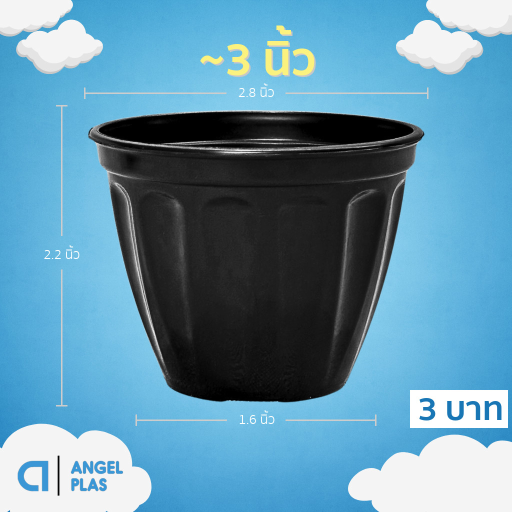 กระถาง กระถางแคคตัส กระถางโรมัน 2 2.8 3 นิ้ว สีดำ Bundle 50 ใบ ชิ้น อัน