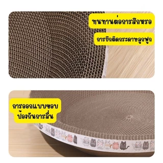 ที่ลับเล็บแมว รูปอ่าง ที่ฝนเล็บแมว เป็นที่นอนแมวไปในตัว ฟรีแคปนิท 3in1