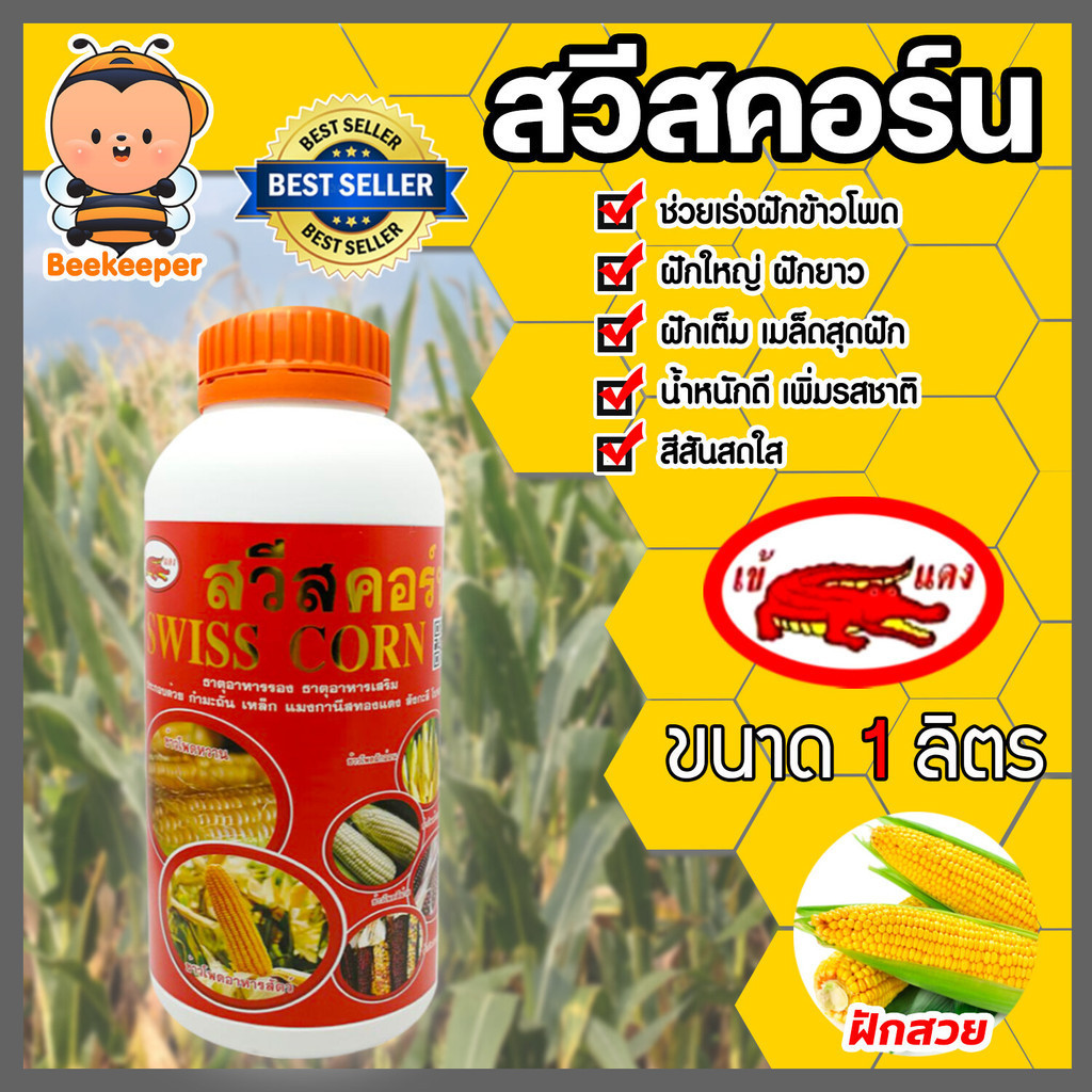 สวีสคอร์น ขนาด1ลิตร อาหารเสริมข้าวโพดสูตรเข้มข้น อาหารเร่งฝักข้าวโพด อาหารเสริมพืช อาหารเสริมธรรมชาติเข้แดง