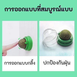กัญชาแมว แคทนิปบอล ติดกำแพง ไม่กลิ้งหาย catnip ball แคทนิปแมว หญ้าแมว ของเล่นแมว ลดคราบหินปูน สําหรับสัตว์เลี้ยง