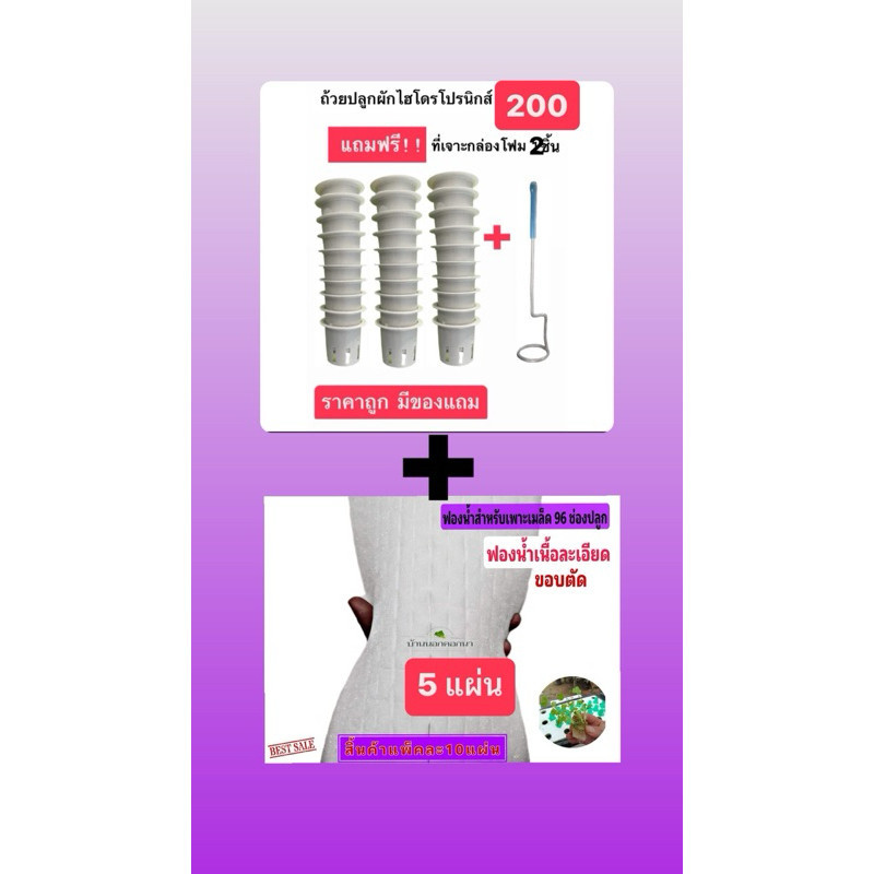 ถ้วยปลูกผักไฮโดรโปนิกส์ 200 ใบ ที่เจาะ2อัน แถมฟองน้ำละเอียด96ช่องปลูก 5แผ่น