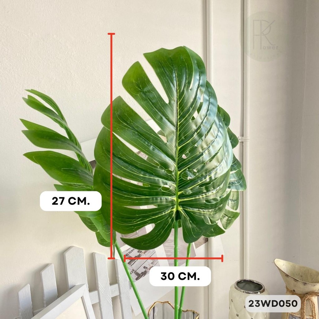 ใบมอลเดี่ยว ความยาว 77 cm. หน้าใบ 27*30 ต่อ 1 ก้าน - รูปที่ 3