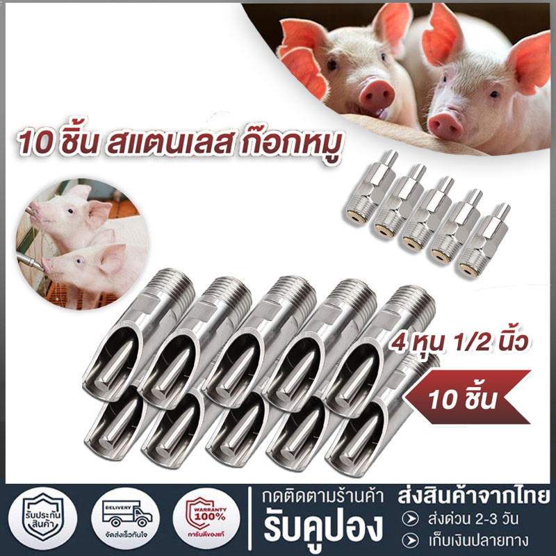 ก๊อกน้ำหมู ก๊อกหมู สแตนเลสแท้ ทองแดง1ชุด10 ชิ้น ขนาด 4 หุน (1/2 นิ้ว) จุ๊บหมู จุกดูดน้ำหมู