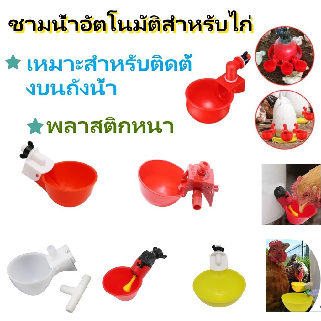 【 COD】เครื่องให้อาหารไก่อัตโนมัติ ชามน้ําดื่มสัตว์ปีก ที่ให้น้ําเป็ดไก่พลาสติก อุปกรณ์สุ่มไก่