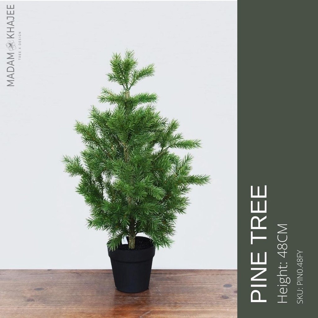 Pine tree ต้นไพน์ 48 - 85 CM ต้นไม้ปลอมตกแต่งบ้าน มาดามขจี ต้นคริสมาสต์