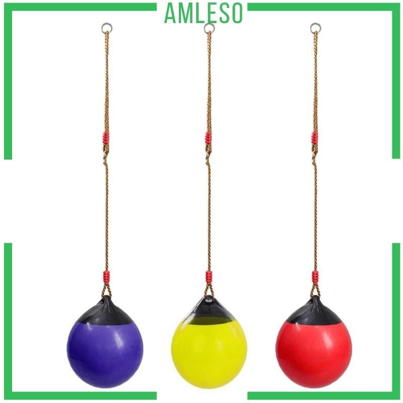 [Amleso] Ball Swing Seat พร้อมเชือกสําหรับเด็กผู้ใหญ่ Balance Playground Backyard Play Set