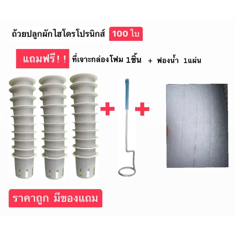 ถ้วยปลูกขาวไฮโดรโปนิกส์ 100 ใบ ฟรีฟองน้ำเกรดAAA ฟรีที่เจาะ1 อัน