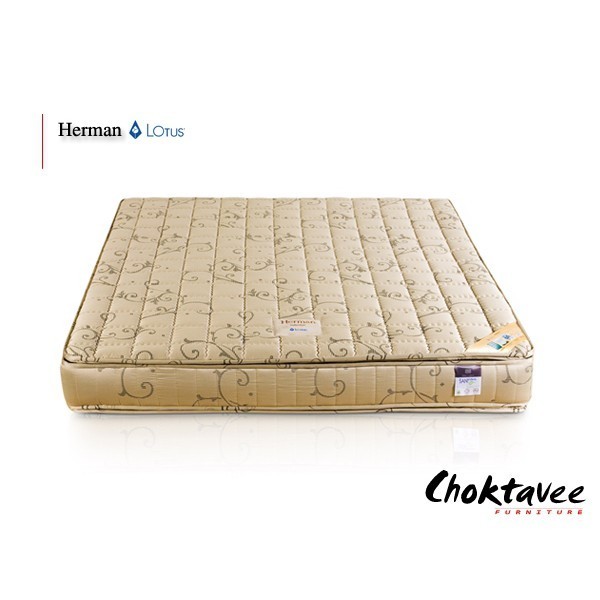 Lotus ที่นอนสปริง Herman
