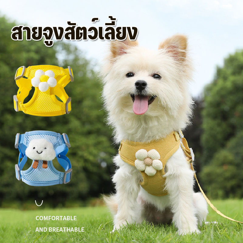 สายจูงสัตว์เลี้ยง เชือกลากทนทาน ปรับยาวได้ สายจูงสำหรับหมาแมวและกระต่าย