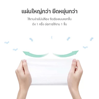 KTCAT Kojima Pet wipes ทิชชู่เปียก กระดาษเปียกสำหรับสัตว์เลี้ยง 80แผ่น 100แผ่น