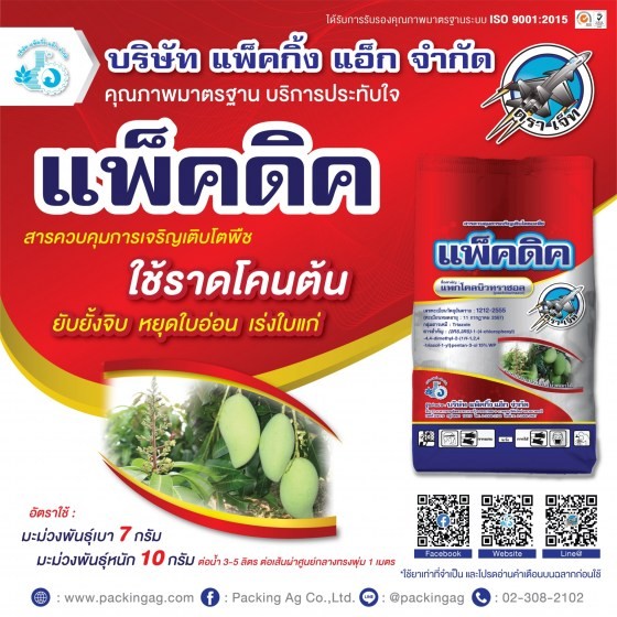 แพ็กดิค15% #แพคโคลบิวทราซอล 15% WP สารทำทุเรียนนอกฤดู สารแพ็คโคลบิวทราซอล สารลาดมะม่วง นอกฤดู #ร้านปุ๋ยดีเด่น