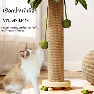 ลับเล็บแมวต้นมะพร้าว เสาลับเล็บแมว ของเล่นที่ลับเล็บแมว ทนต่อกาสึกหรอ วัสดุไม้เนื้อแข็ง