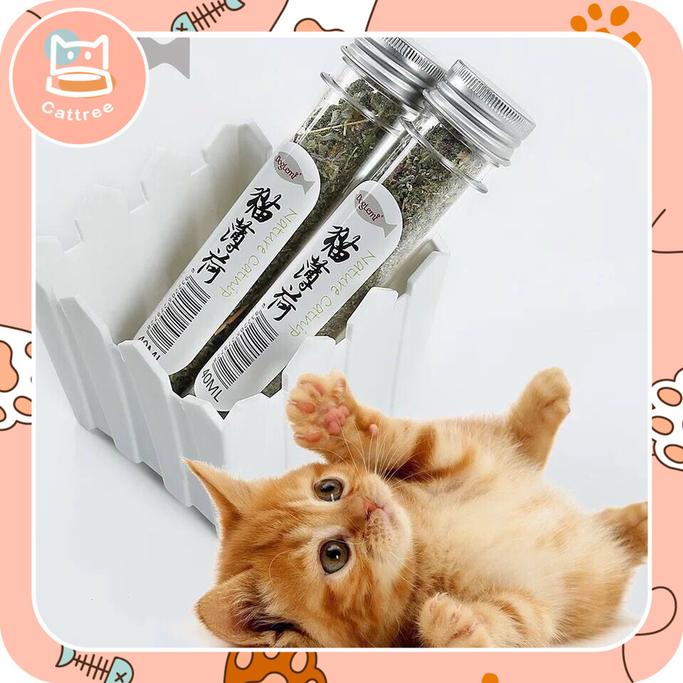 catnip แคทนิปแมว ของเล่นแมว ช่วยให้แมวฟิน ผงcatnip