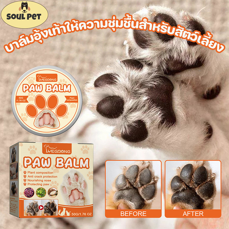 COD บาล์มบำรุงอุ้งเท้าสัตว์เลี้ยง ช่วยให้อุ้งเท้าเนียนนุ่ม บำรุงเท้า สําหรับสัตว์เลี้ยง เหมาะสําหรับฤดูร้อน