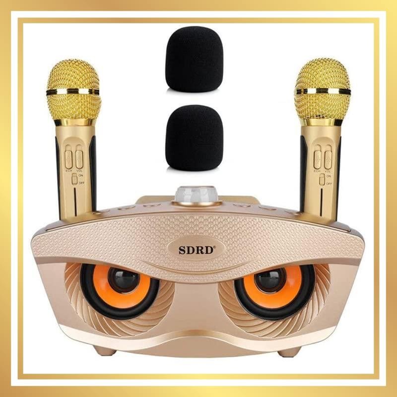 Karaoke microphone, home karaoke system, wireless microphone, 2 microphones, wired and wireless connections.