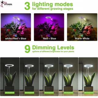 ไฟ LED Grow Light สําหรับพืชในร่ม 48 LED พืชเติบโตไฟพร้อมตัวจับเวลา 3 ตัว และ 9 ระดับหรี่แสงได้ปรับความสูง