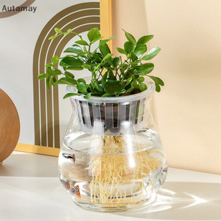Autamay กระถางดอกไม้ปลาพลาสติกใส Soilless กระถางต้นไม้รดน้ํา…