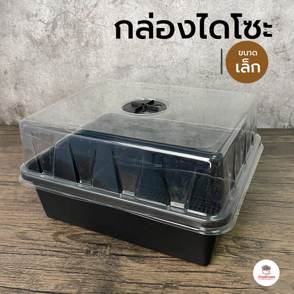 กล่องไดโซะ #เล็ก กล่องเพาะเมล็ด แคคตัส กระบองเพชร cactus&succulent