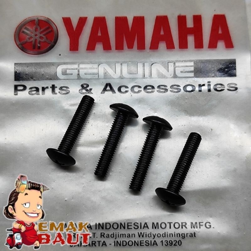 4 ชิ้น BODY BOLT SHIELD VISOR YAMAHA R25 NMax Lexi Aerox Xride vixon