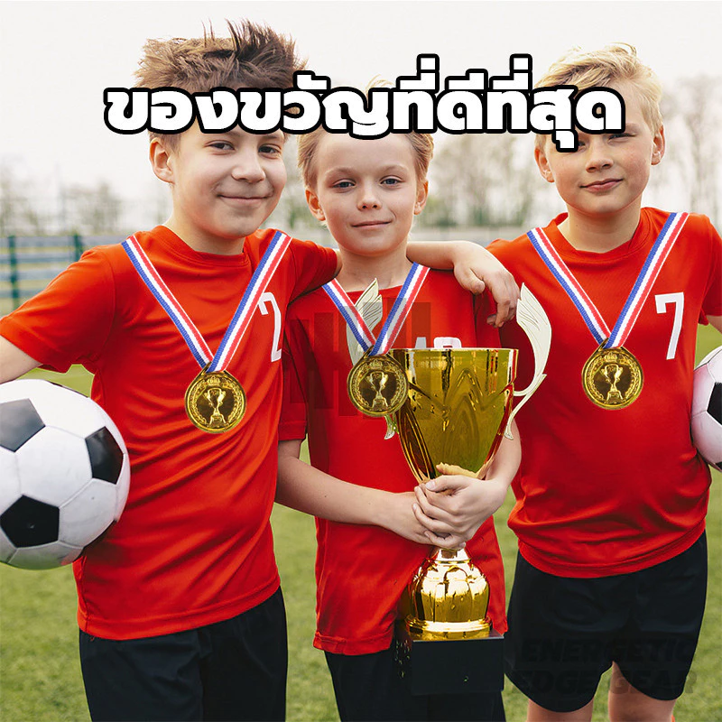 เหรียญทองแดง เหรียญเงิน เหรียญทอง เหรียญรางวัล ถ้วยรางวัล ผู้ชนะ ป้าย ของเล่นเกมกลางแจ้ง thumbnail 10