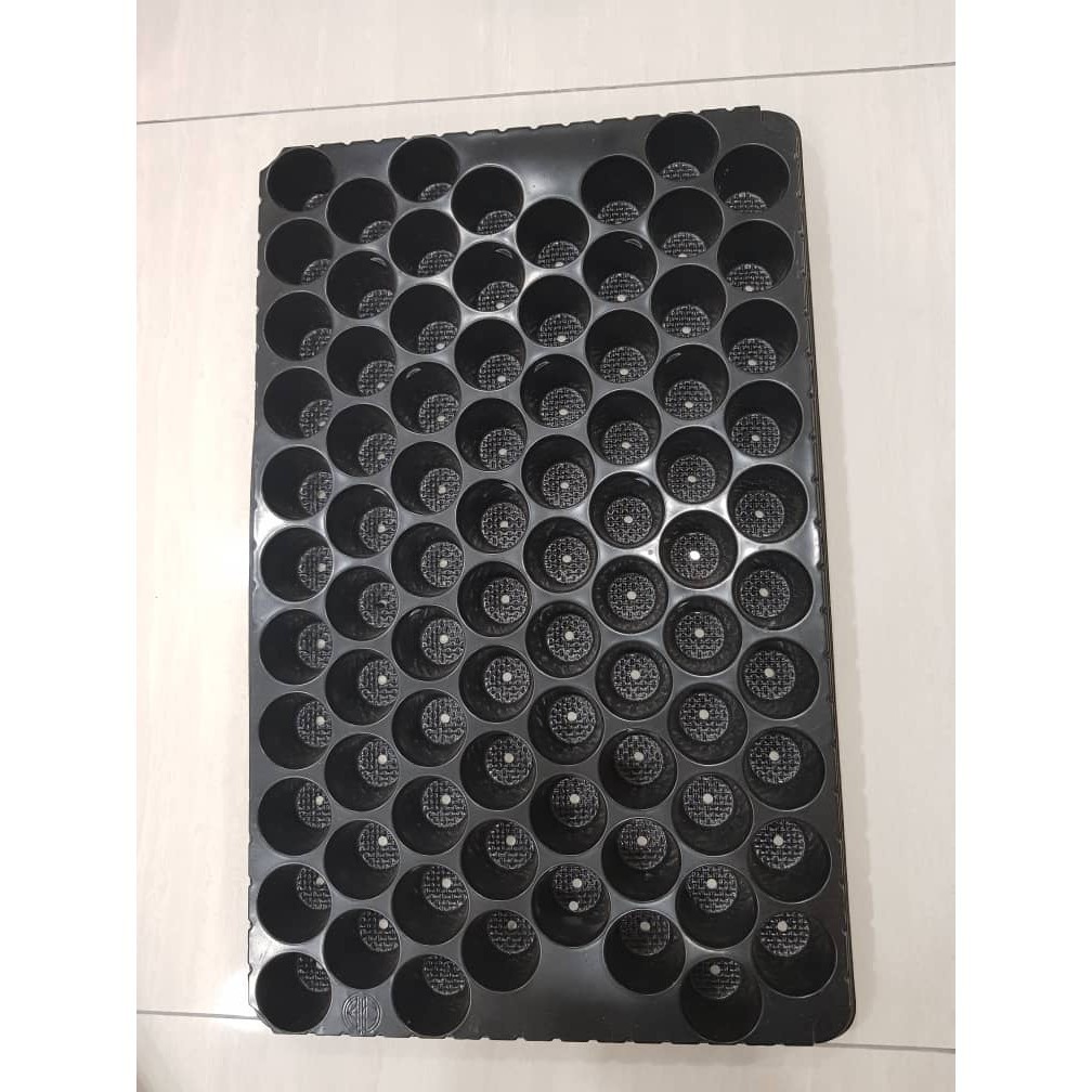 SEEDLING TRAY 82 หลุม