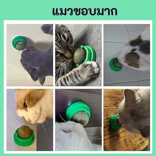 กัญชาแมว แคทนิปบอล ติดกำแพง ไม่กลิ้งหาย catnip ball แคทนิปแมว หญ้าแมว ของเล่นแมว ลดคราบหินปูน สําหรับสัตว์เลี้ยง